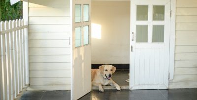 Three Ways To Ensure That Your Dog House Flooring Is Safe